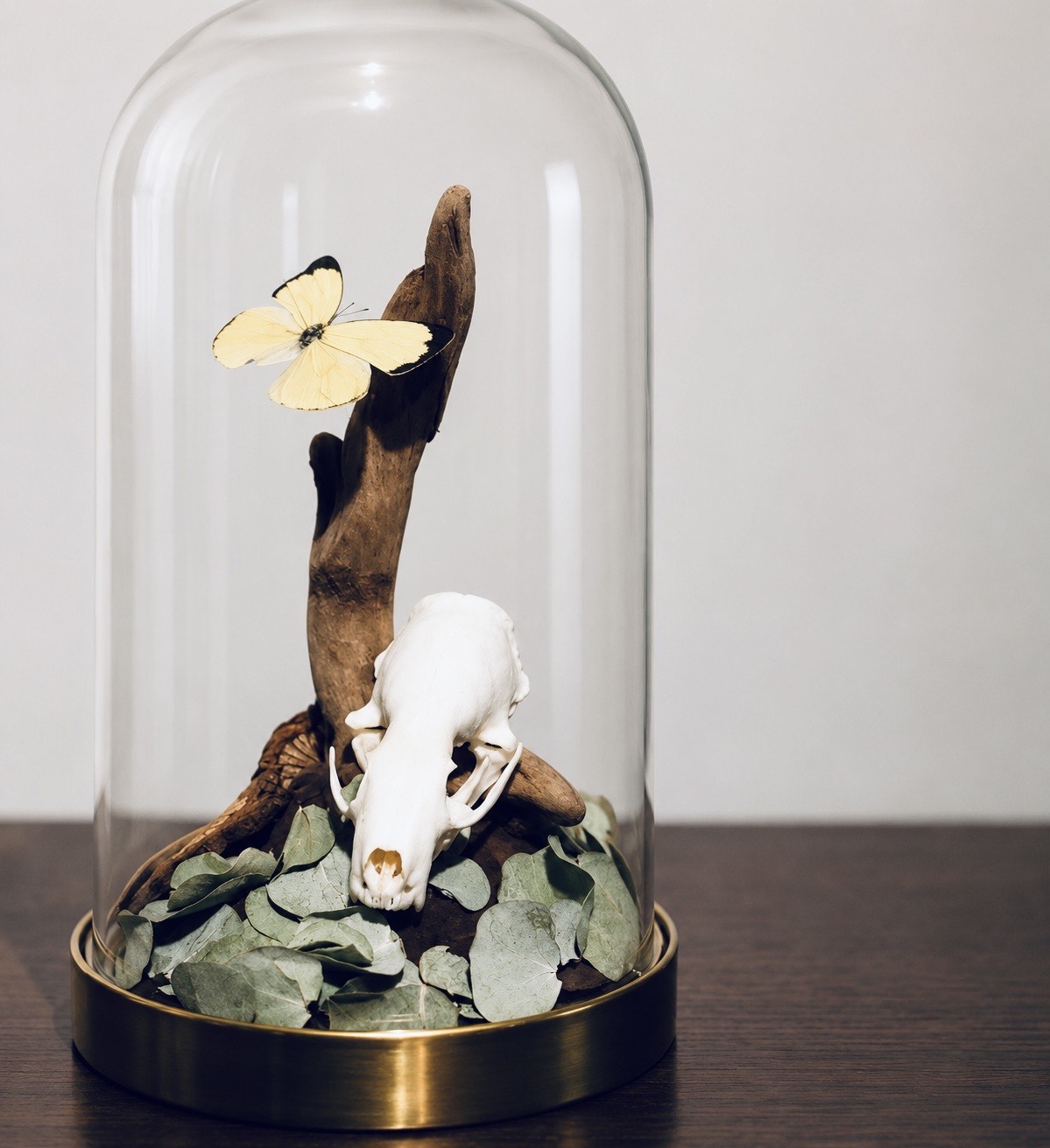 Memento Mori I